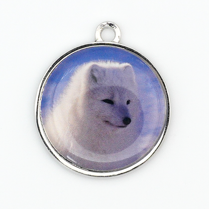 ドームマグネットキット 25mm