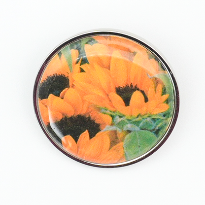 ドームピンズキット 25mm